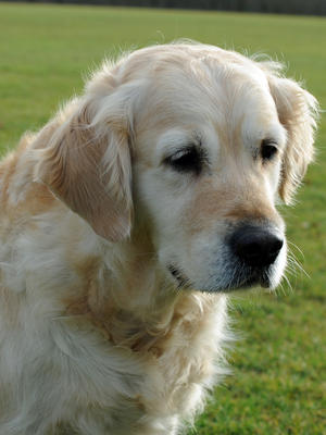 A very special Khita