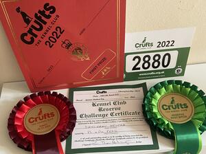 Crufts 2022
