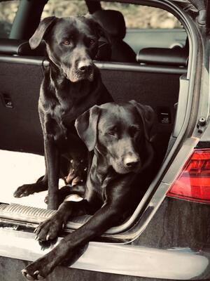 Aggie & Ada