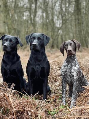 Aggie, Ada & Hats