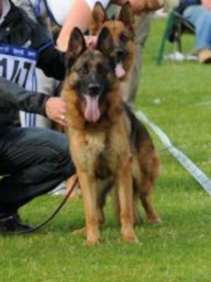 BEKKI