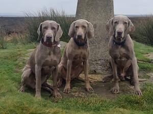 Team Githoneal enjoying some fell walking