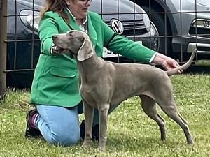 Winter competing in limit bitch