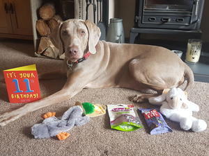 Storm on his 11th birthday