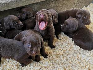 Yaaawwwwnnn!