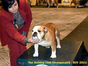 Rosa @ Bulldog Of The Year 2022