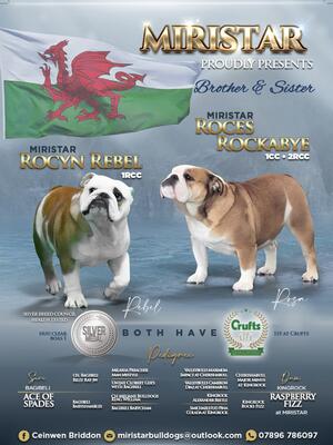 MIRISTAR litter brother & sister - Rebel & Rosa