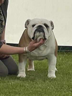 Rebel winning his RDCC