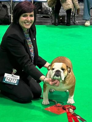 Rosa winning Limit Bitch Class @ Crufts 2023