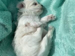 Baby girl born 25/3/2022