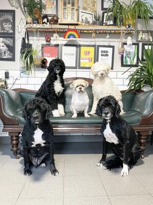 The gang