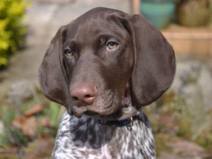 Head shot at 11 weeks