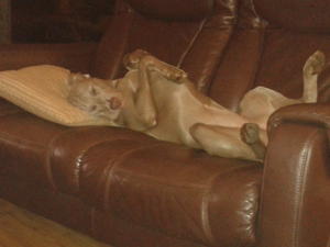 It's a tough life!!!