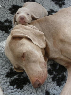 Me & My Mum