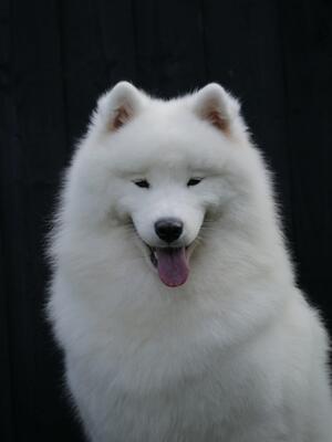 Smiling Sabina