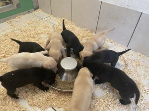 Dinner time