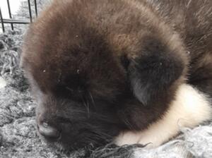 Boy at 4 weeks old