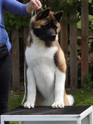 Eros at 6 months old