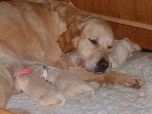 Tizzie and her new family
