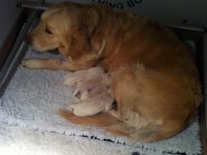 Loxie - proud mum