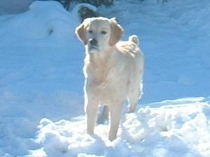 Tizzie @ 7 months