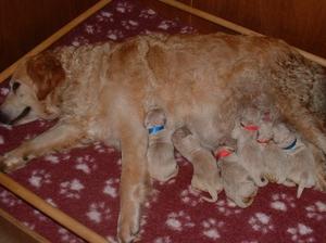 New family