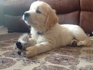 In his new home