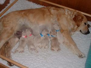 New borns