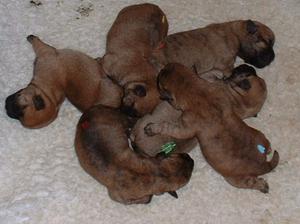 At 4 days