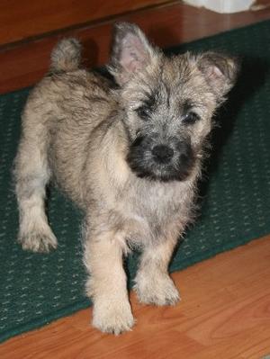 Sonny as a youngster
