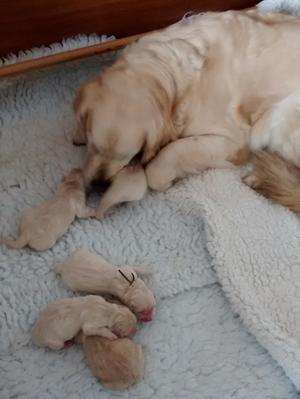 The new arrivals