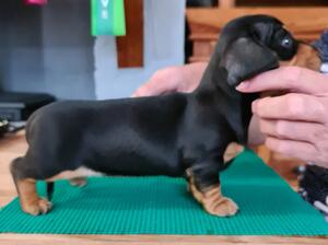 April as a baby