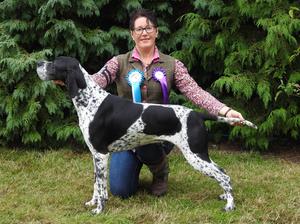 7 yrs young! Winning Best Veteran Birmingham '17