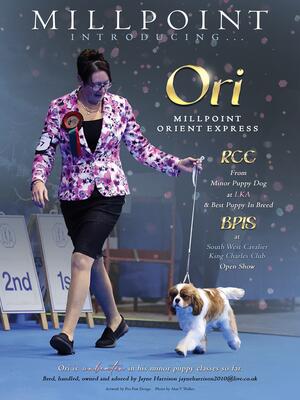 Ori as a puppy at LKA