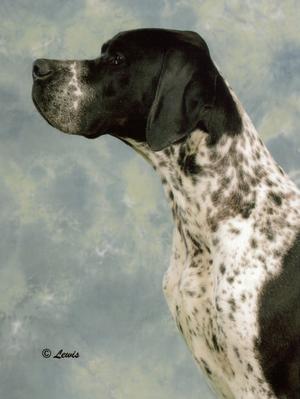 WILSON