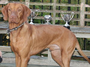 Regalerosso Emerald Star Champion