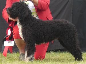 Pili, 13 months in the Group 8 ring