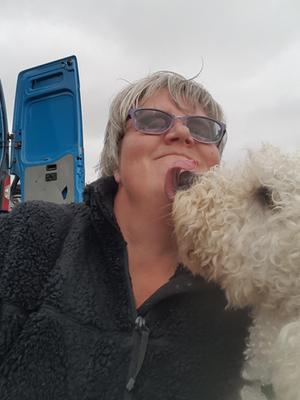 Pasi at Bray Championship show 2017.