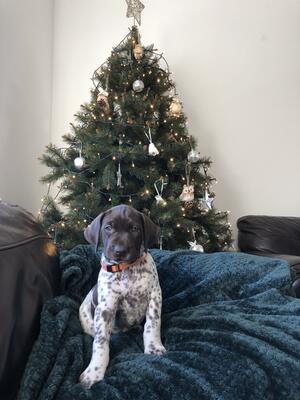 Gorgeous Girl