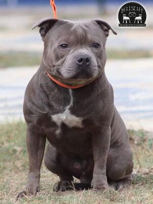 Zeus