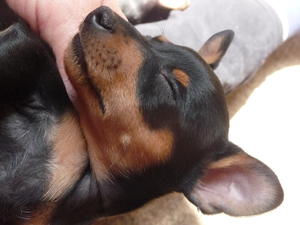 At rest