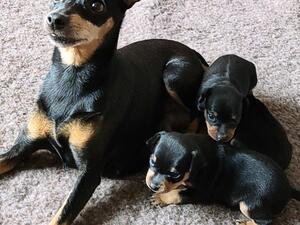 Mum with girls at 2 weeks