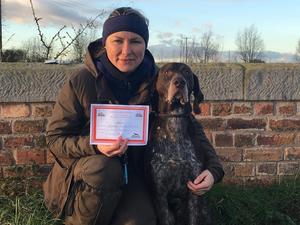 Jeff wins a Novice Field Trial