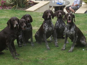 Tara on the right