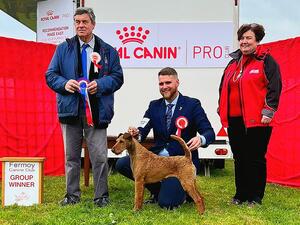 Terrier Group Winner - Carliams CovidJane