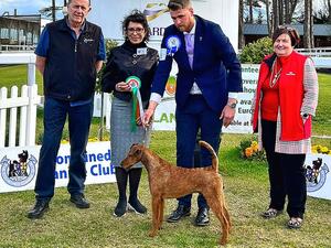 Native Breed Winner - Carliams Dawn Blitz