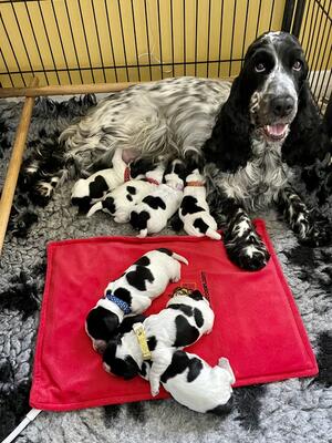 5 days old