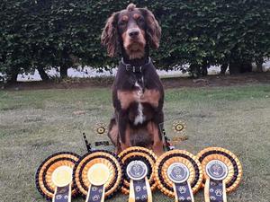 Lottie with some prize she won at a show