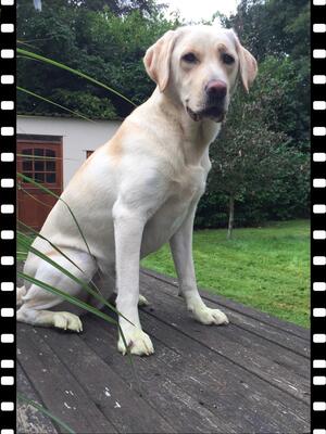 Joessa Xena of Sliemasea