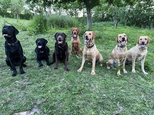 Family portrait